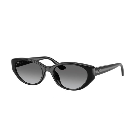 Ray-Ban RB 4457D - 667711 Nero | Occhiale Da Sole Unisex MIS:55